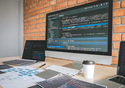 Software Development